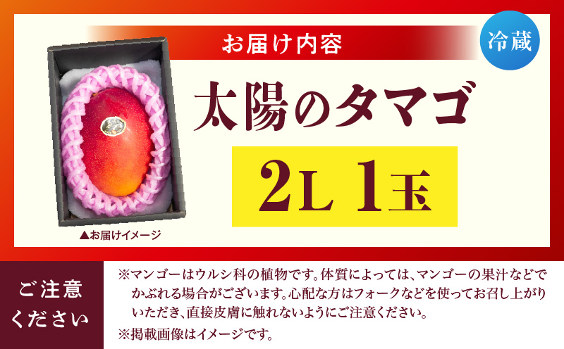 宮崎県産 太陽のタマゴ 2L×1玉