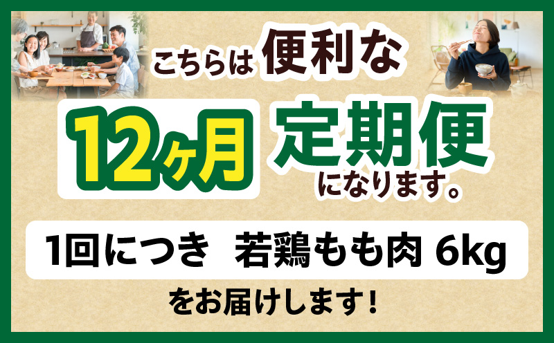 宮崎県産 若鶏切身もも肉 6kg（300g×20袋）【12か月定期便】