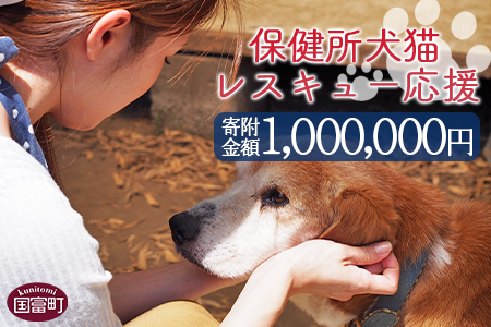 ＜保健所犬猫レスキュー【返礼品なしのご寄附】＞寄付金額1,000,000円※お礼状をお送りいたします。【 動物愛護 保護 犬 猫 いぬ ねこ イヌ ネコ 動物 どうぶつ ペット 応援 支援 寄付 使い道 いのちのはうす保護家 】