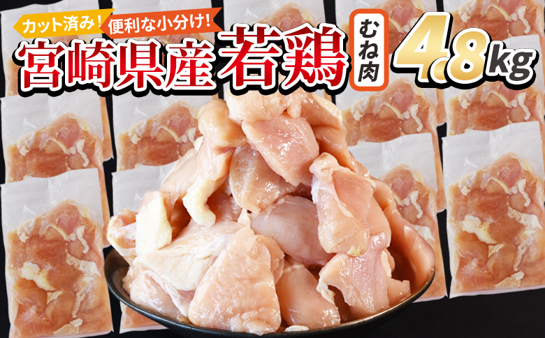 ＜宮崎県産若鶏切身 むね肉 4.8kg（300g×16袋）＞ 翌々月までに順次出荷 【 からあげ 唐揚げ カレー シチュー BBQ 煮物 チキン南蛮 小分け おかず おつまみ お弁当 惣菜 時短 炒め物 簡単料理 】