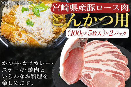 ＜宮崎県産豚肉 『とんかつ用』セット（ロース・ヒレ）合計2.0kg＞翌月末迄に順次出荷