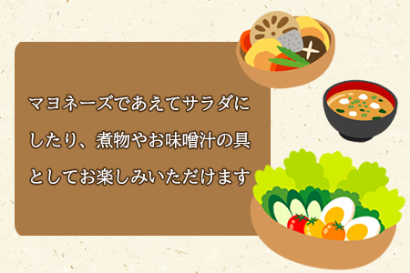 ＜切干大根 15袋セット＞【せんぎり 大根 千切り大根 切り干し大根 切干し大根 切干大根 野菜 常備野菜 煮物 乾物 だいこん ダイコン サラダ お味噌汁 】翌月末迄に順次出荷