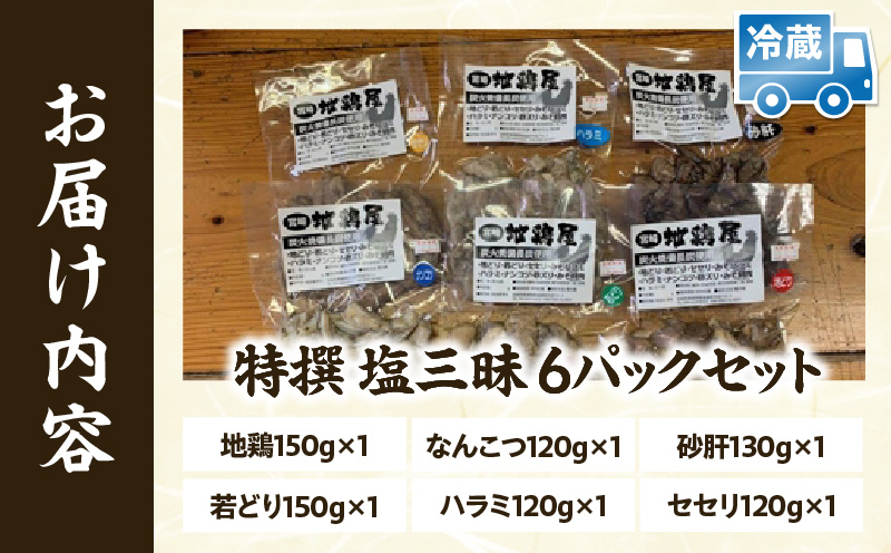 特撰 塩三昧 6パックセット