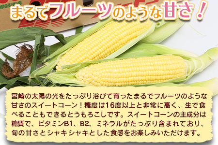 予約受付【2026年発送】＜宮崎県産 スイートコーン 約4.5kg＞2026年5月下旬〜6月中旬迄に順次出荷【 先行予約 穀物 野菜 甘い 季節限定 とうもろこし おやつ ご飯 スープ サラダ BBQ 屋台 】