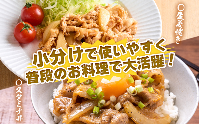 ＜宮崎県国富町産 豚肉バラエティセット 合計4.5kg＞入金確認後、翌月末迄に順次出荷【バラエティーセット お肉 ぶた肉 小分けパック 真空パック ロース とんかつ トンカツ しゃぶしゃぶ用 小間切れ 豚こま ひき肉 挽肉 普段使い 普段の料理 精肉 】