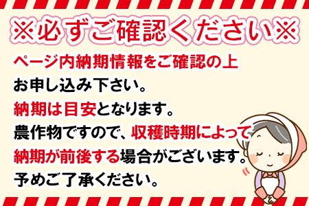 予約受付！＜朝採れ！国富町産ゴールドラッシュ4.5kg2Lサイズ13本＞2026年5月下旬〜7月上旬迄に順次出荷【 とうもろこし スイートコーン 先行予約 野菜 穀物 甘い トウモロコシ 季節物 数量限定 とうきび コーン 】
