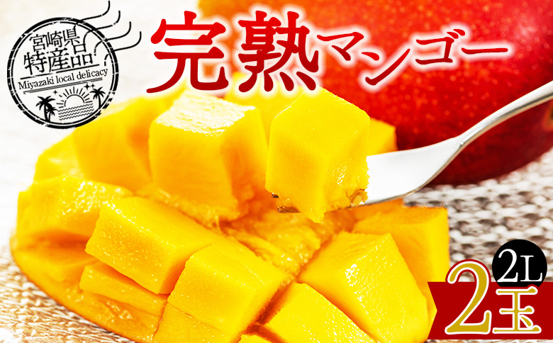 【先行予約 2026年発送】＜宮崎県産 完熟マンゴー 2L 合計2玉＞入金確認後、2026年5月初旬〜7月末迄に順次出荷【 選べる 大きさ サイズ 国産 かんじゅく とろける 果物 果実 フルーツ 南国 芳醇 甘い 旬 濃厚 贈り物 プレゼント（株）ワールドワイドトレード 宮崎県 国富町】