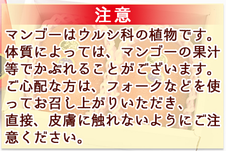 数量限定【2026年発送】＜宮崎県産 太陽のタマゴ A等級 4Lサイズ×2玉（合計約1kg）＞2026年4月上旬〜6月末迄に順次出荷【 果物 青果 フルーツ 太陽のタマゴ 太陽のたまご 完熟マンゴー マンゴ― 期間限定 先行予約 ギフト 贈答用 送料無料 】