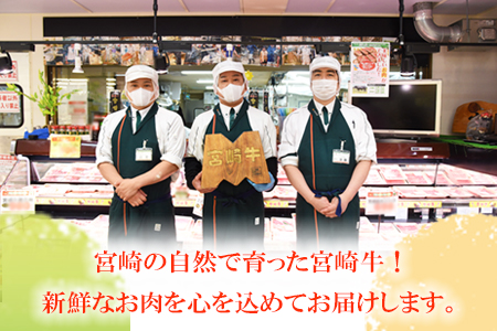 ïŒå®®åŽçå°éåã 1kgïŒç¿ææ«è¿ã«é 次åºè·