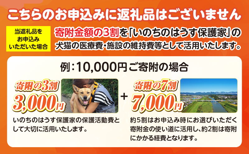 保健所犬猫レスキュー【返礼品なしのご寄附】