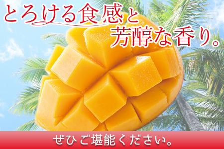 数量限定【2026年発送】＜宮崎県産 太陽のタマゴ A等級 4Lサイズ×2玉（合計約1kg）＞2026年4月上旬〜6月末迄に順次出荷【 果物 青果 フルーツ 太陽のタマゴ 太陽のたまご 完熟マンゴー マンゴ― 期間限定 先行予約 ギフト 贈答用 送料無料 】