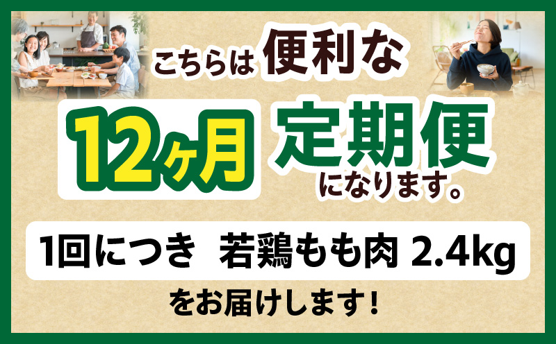 螳ョ蟠守恁逕」 闍・鮓丞霄ォ繧ゅb閧 2.4kgシ300gテ8陲具シ峨12縺区怦螳壽悄萓ソ縲