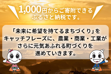 ＜寄附のみの応援受付(返礼品はございません)＞寄附額1,000円【 応援 寄附 未来 地域支援 おすすめ 1000円 国富町 宮崎県国富町 】