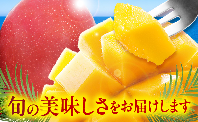 JAみやざき宮崎中央地区本部管内産 宮崎県産 冷凍マンゴー 約270g