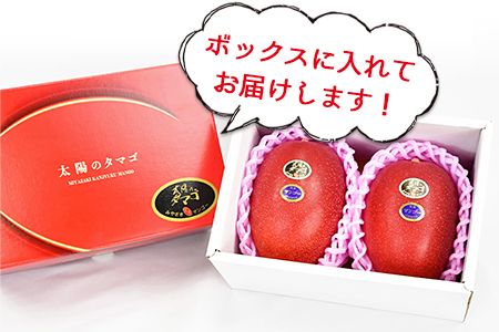 数量限定【2026年発送】＜宮崎県産 太陽のタマゴ A等級 4Lサイズ×2玉（合計約1kg）＞2026年4月上旬〜6月末迄に順次出荷【 果物 青果 フルーツ 太陽のタマゴ 太陽のたまご 完熟マンゴー マンゴ― 期間限定 先行予約 ギフト 贈答用 送料無料 】