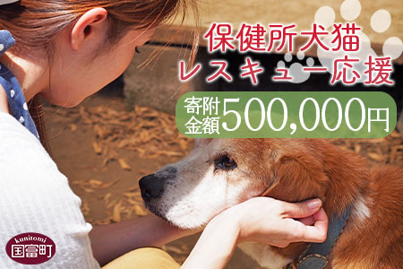 ＜保健所犬猫レスキュー【返礼品なしのご寄附】＞寄付金額500,000円※お礼状をお送りいたします。【 動物愛護 保護 犬 猫 いぬ ねこ イヌ ネコ 動物 どうぶつ ペット 応援 支援 寄付 使い道 いのちのはうす保護家 】