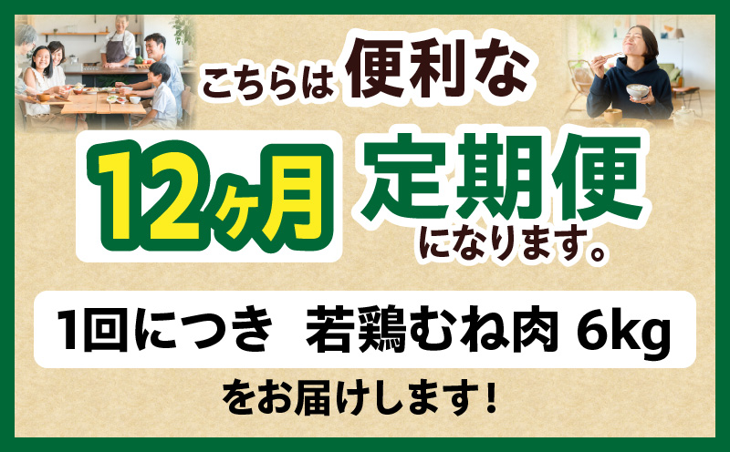 宮崎県産 若鶏切身 むね肉 6kg（300g×20袋）【12か月定期便】