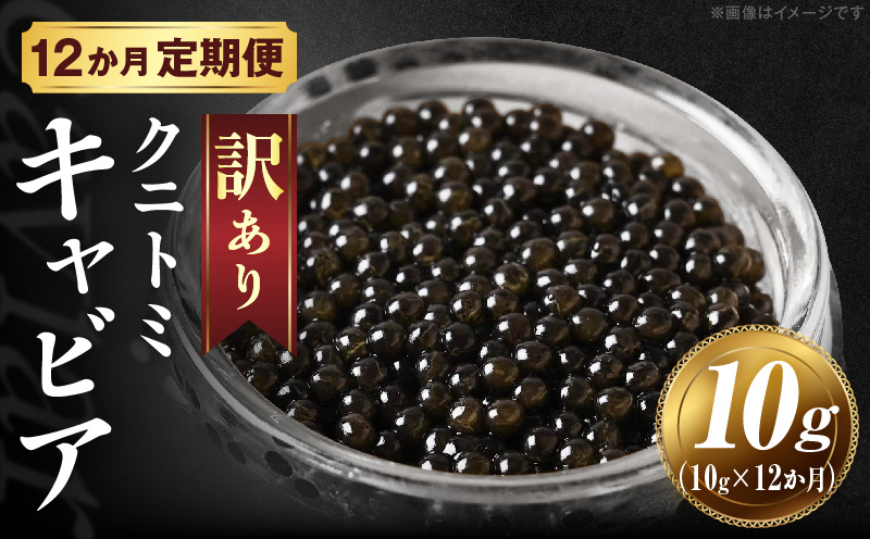 【訳あり】12か月定期便 クニトミキャビア 10g