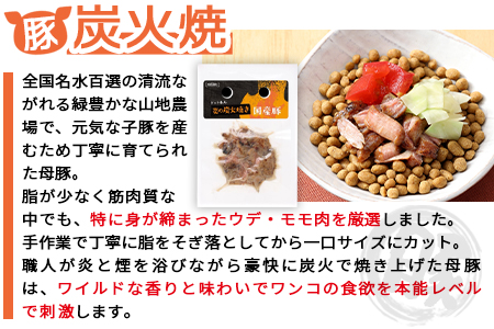 ＜愛犬用 ドットわん 炎の炭火焼き 牛豚鶏セット＞翌月末迄に順次出荷