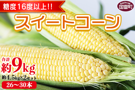 数量限定【2026年発送】＜宮崎県産 スイートコーン 約9kg（約4.5kg×2箱）＞2026年5月下旬〜6月中旬迄に順次出荷【 先行予約 穀物 野菜 甘い 季節限定 とうもろこし おやつ ご飯 スープ サラダ BBQ 屋台 】