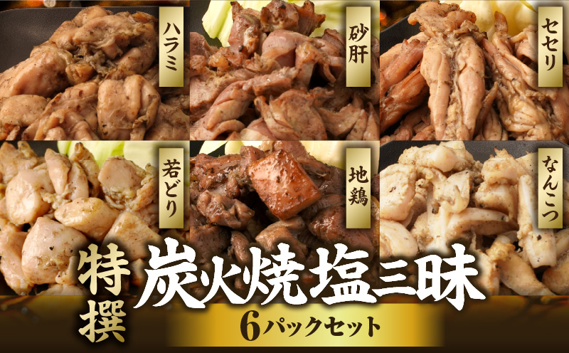 特撰 塩三昧 6パックセット