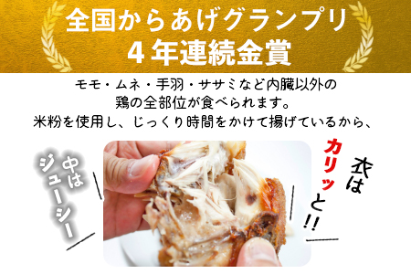 ＜半身からあげ5本セット(塩味×3本 スパイス味×2本)＞準備でき次第翌々月までに順次発送