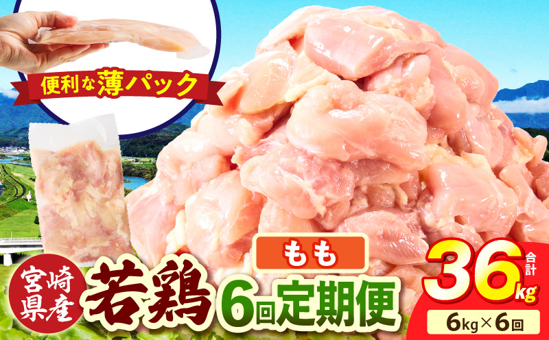 宮崎県産 若鶏切身もも肉 6kg（300g×20袋）【6か月定期便】
