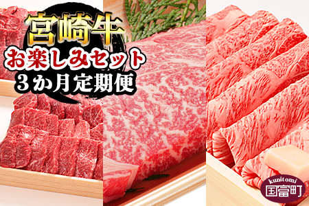 ＜3か月定期便 宮崎牛お楽しみセット＞翌月末迄に第一回目発送