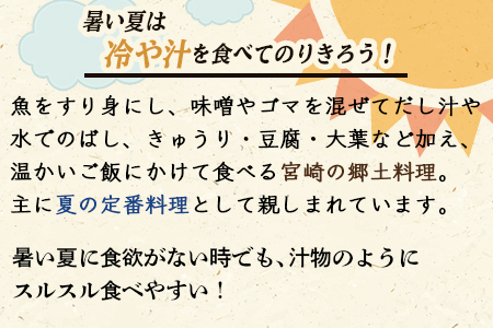 ＜宮崎郷土料理 冷や汁 4個セット＞翌月末迄に順次出荷