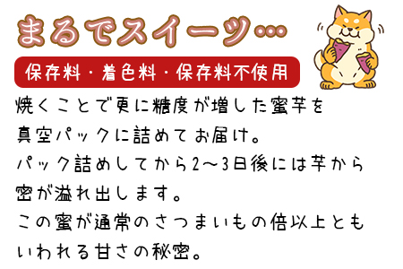 ＜国富金時 蜜芋（400g×2）合計800g＞翌月末迄に順次出荷