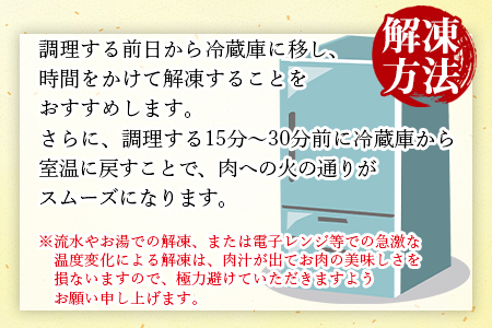 ＜12か月定期便 宮崎牛づくしセット＞翌月末迄に第一回目発送