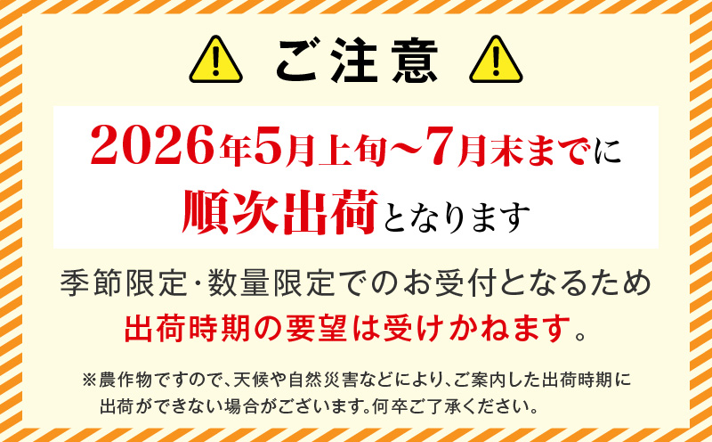 宮崎県産 完熟マンゴー 2玉 3L