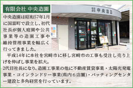 シ懷ョカ蠎ュ逕ィ 繧ケ繧ヲ繧ァ繝シ繝繝ウ繝医シ繝 2譛ャシ医ず繧ァ繝ォ繧ソ繧、繝礼捩轣ォ蜑、莉倥″シ会シ樒ソ梧怦譛ォ霑縺ォ鬆谺。蜃コ闕キ