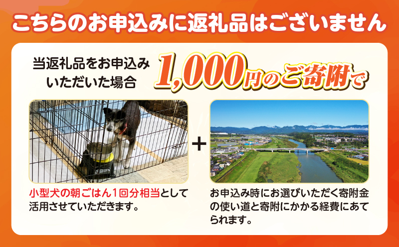 菫晏▼謇迥ャ迪ォ繝ャ繧ケ繧ュ繝・繝シ縲占ソ皮、シ蜩√↑縺励ョ縺泌ッ髯縲