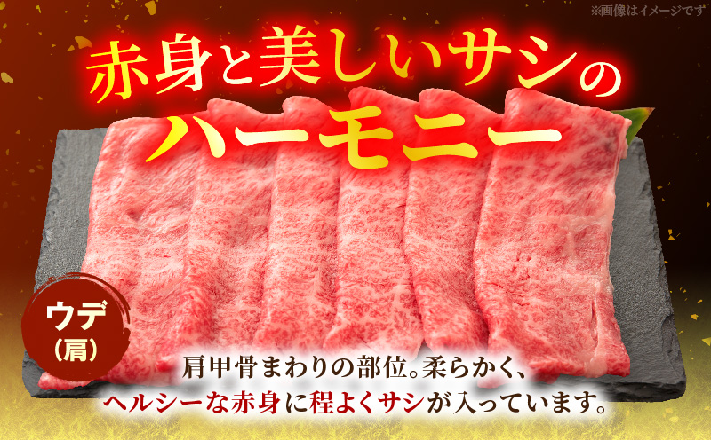 宮崎牛ウデ すき焼き・しゃぶしゃぶ用 500g