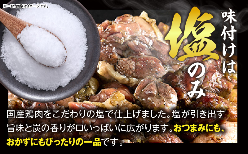 親どり炭火焼 1.2kg（120g×10パック）鶏 鶏肉 国産 親鳥 炭火焼き鳥 炭火焼き おかず 晩酌 おつまみ 特産品 宮崎 名物