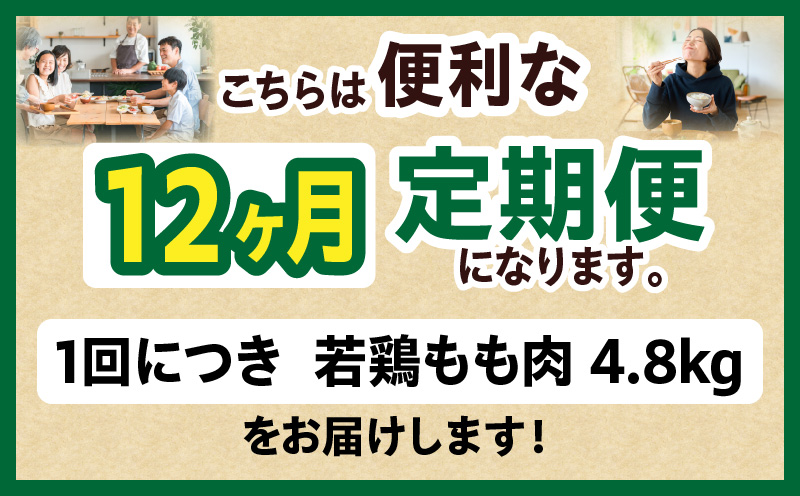 宮崎県産 若鶏切身もも肉 4.8kg（300g×16袋）【12か月定期便】