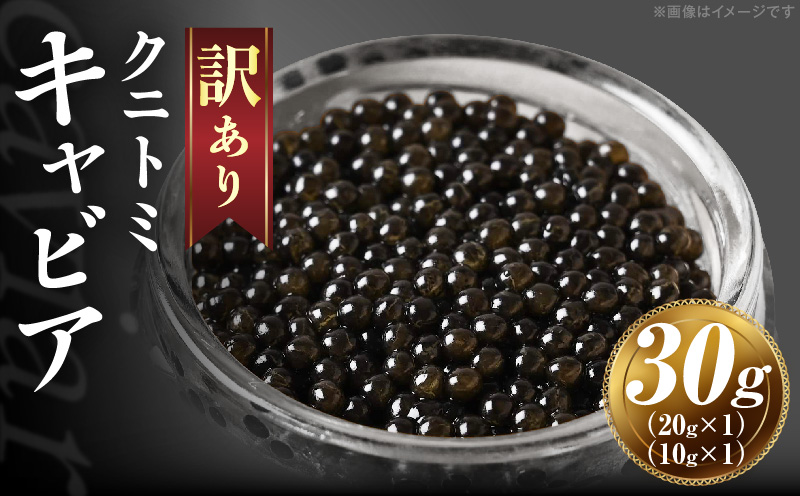 【訳あり】クニトミキャビア 30gセット(20g×1+10g×1)