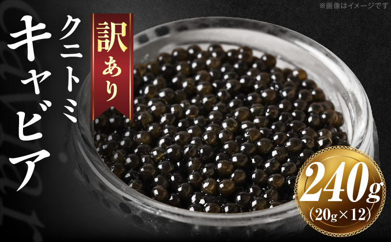 【訳あり】クニトミキャビア 240gセット(20g×12)