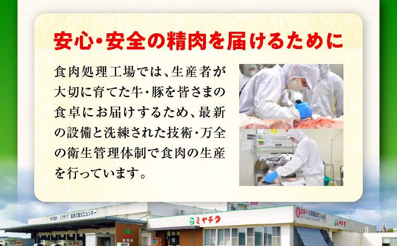 宮崎県産黒毛和牛(経産)肩ローススライス 1kg（500g×2）