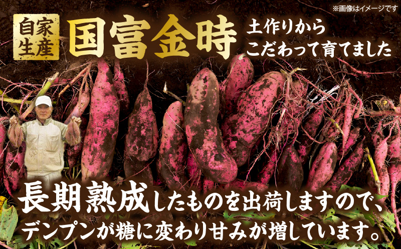 陷懆葛 蝗ス蟇碁第凾繧サ繝繝 (陷懆葛400gテ10シ句ケイ縺苓葛150gテ6)