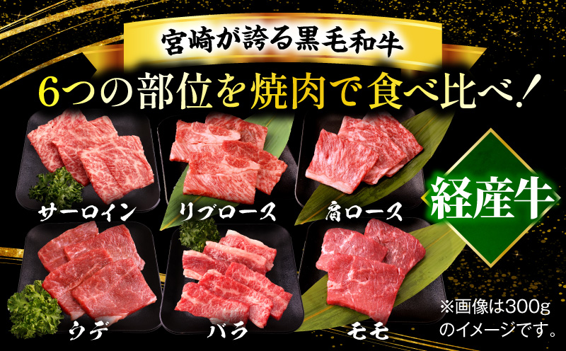 螳ョ蟠守恁逕」鮟呈ッ帛柱迚(邨檎肇)6遞ョ辟シ閧峨そ繝繝 600g