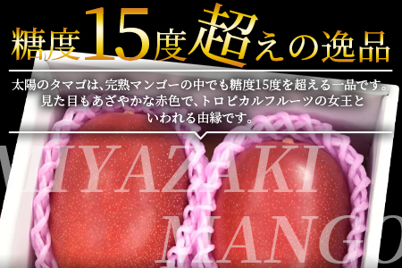 数量限定【2026年発送】＜宮崎県産 太陽のタマゴ A等級 4Lサイズ×2玉（合計約1kg）＞2026年4月上旬〜6月末迄に順次出荷【 果物 青果 フルーツ 太陽のタマゴ 太陽のたまご 完熟マンゴー マンゴ― 期間限定 先行予約 ギフト 贈答用 送料無料 】