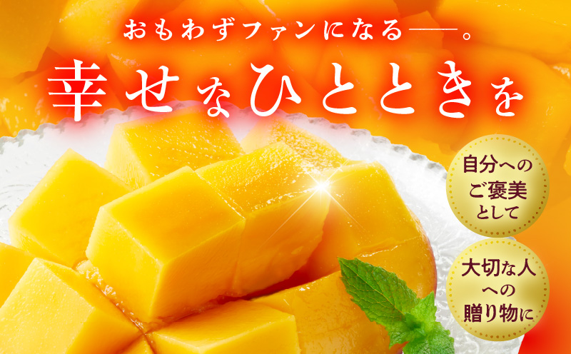 宮崎県産 完熟マンゴー 2玉 2L