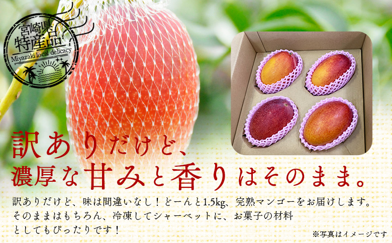 ïŒèš³ãã å®®åŽçç£ å®çãã³ãŽãŒ åèšçŽ1.5kgïŒ3ã5çïŒïŒâ»å
¥é確èªåŸã2026幎5æäžæ¬ãã7ææ«è¿ã«é 次åºè· èš³ã¢ãª ãèªå®
ãè€çŸ ãããã«ã« åœç£ æç© æå® ãã«ãŒã ååœ çã æ¬ïŒæ ªïŒã¯ãŒã«ãã¯ã€ããã¬ãŒã å®®åŽç åœå¯çºãå·èµã