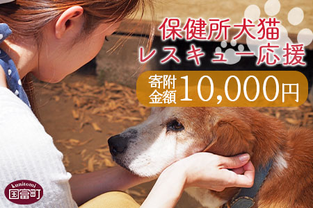 ＜保健所犬猫レスキュー【返礼品なしのご寄附】＞寄付金額10,000円※お礼状をお送りいたします。【 動物愛護 保護 犬 猫 いぬ ねこ イヌ ネコ 動物 どうぶつ ペット 応援 支援 寄付 使い道 寄附のみ いのちのはうす保護家 】