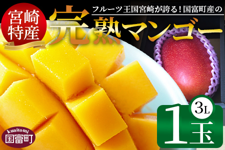 期間限定！＜宮崎特産！国富町産の完熟マンゴー 1玉（3L）＞2026年3月下旬～6月下旬迄に順次出荷