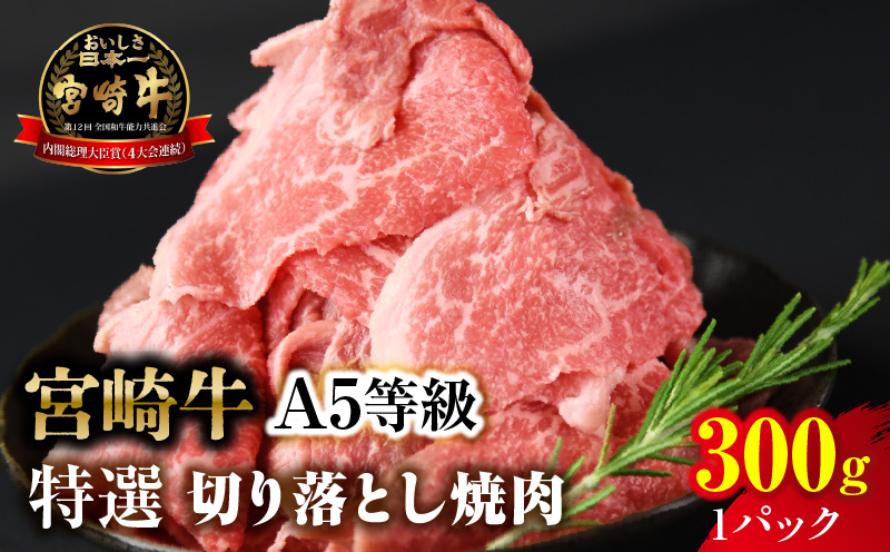 【訳あり】宮崎牛 切り落とし焼肉 合計300g（1パック）