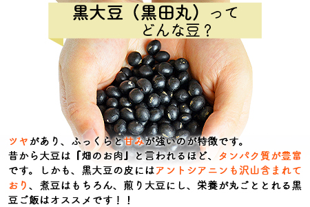 ＜【B】農家の贈り物セット＞翌月末迄に順次出荷