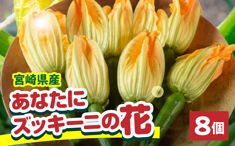 あなたにズッキーニの花 8個